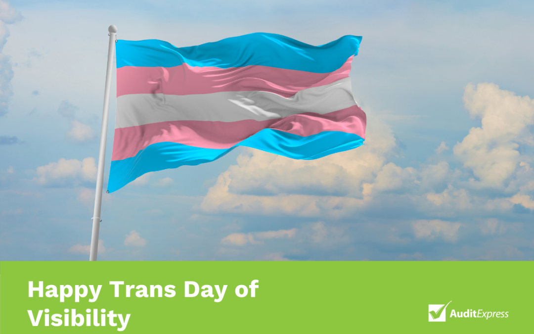 Photo of Trans Flag with clouds in sky background. Text title Happy Trans Day of Visibility and Audit Express logo